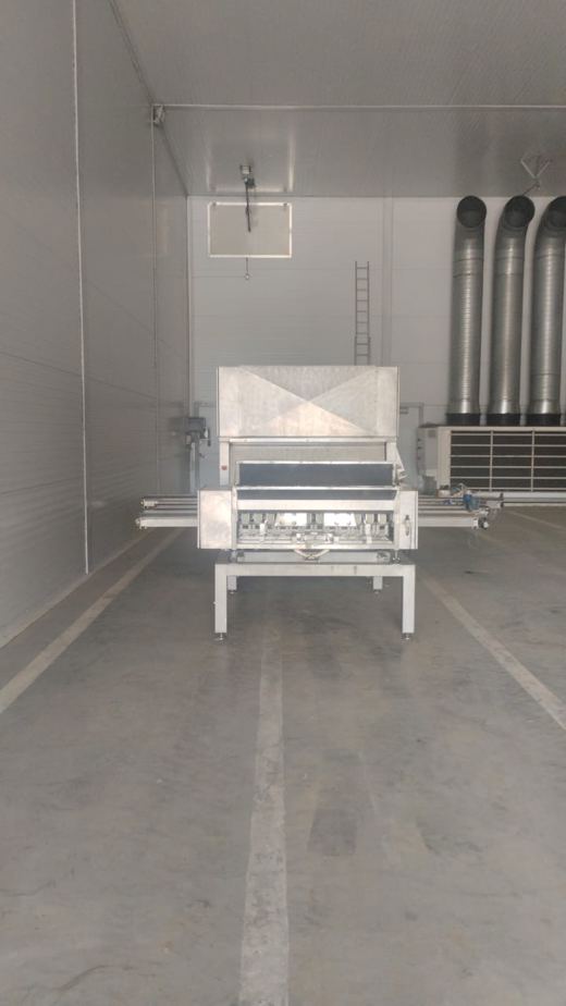 Оптический калибровщик NEWTEC CELOX XT(P)